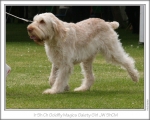Filename=G-MagicGaietyGirl-5.jpg
Filesize=131KiB
Dimensions=868x698
Date added=Sep 17, 2009 G-MagicGaietyGirl-5.jpg