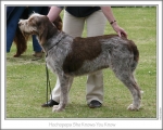 Filename=H-SheKnowsYouKnow-3.jpg
Filesize=133KiB
Dimensions=868x698
Date added=Sep 17, 2009 H-SheKnowsYouKnow-3.jpg