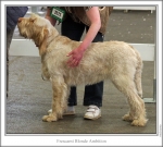 Filename=F-BlondeAmbition.jpg
Filesize=156KiB
Dimensions=871x785
Date added=Sep 17, 2009 F-BlondeAmbition.jpg