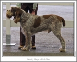 Filename=G-MagicsLittleMan.jpg
Filesize=126KiB
Dimensions=868x703
Date added=Sep 17, 2009 G-MagicsLittleMan.jpg