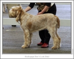 Filename=H-DonTLookEthel.jpg
Filesize=131KiB
Dimensions=867x695
Date added=Sep 17, 2009 H-DonTLookEthel.jpg