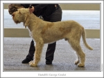 Filename=H-GeorgeGoulet.jpg
Filesize=120KiB
Dimensions=866x655
Date added=Sep 17, 2009 H-GeorgeGoulet.jpg