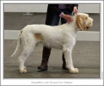 Filename=H-LouisDousset.jpg
Filesize=109KiB
Dimensions=868x722
Date added=Sep 17, 2009 H-LouisDousset.jpg