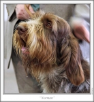 Filename=H-MrGrimsdale-2.jpg
Filesize=101KiB
Dimensions=659x716
Date added=Sep 17, 2009 H-MrGrimsdale-2.jpg