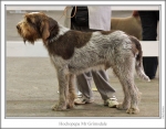 Filename=H-MrGrimsdale.jpg
Filesize=133KiB
Dimensions=867x677
Date added=Sep 17, 2009 H-MrGrimsdale.jpg