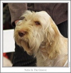 Filename=N-InTheGroove-3.jpg
Filesize=94KiB
Dimensions=658x669
Date added=Sep 17, 2009 N-InTheGroove-3.jpg