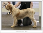 Filename=T-NewDawn.jpg
Filesize=125KiB
Dimensions=867x665
Date added=Sep 17, 2009 T-NewDawn.jpg
