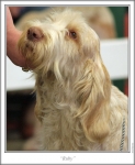 Filename=W-RubyTuesday-2.jpg
Filesize=87KiB
Dimensions=664x804
Date added=Sep 17, 2009 W-RubyTuesday-2.jpg
