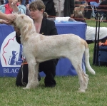 Filename=B-BillyElliot.JPG
Filesize=87KiB
Dimensions=600x597
Date added=Sep 17, 2009 B-BillyElliot.JPG