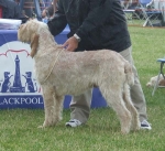 Filename=B-EdwardGRobinson.JPG
Filesize=75KiB
Dimensions=600x550
Date added=Sep 17, 2009 B-EdwardGRobinson.JPG
