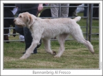 Filename=B-AlFresco-3.jpg
Filesize=114KiB
Dimensions=865x643
Date added=Sep 17, 2009 B-AlFresco-3.jpg
