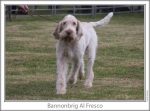 Filename=B-AlFresco-5.jpg
Filesize=114KiB
Dimensions=865x643
Date added=Sep 17, 2009 B-AlFresco-5.jpg