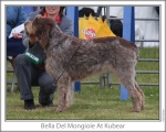 Nom du fichier=Bella-DelMongioie-2.jpg
Taille du fichier=136Ko
Dimensions : 868x698
Ajouté le : 17 Septembre 2009 Bella-DelMongioie-2.jpg