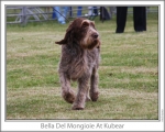 Nom du fichier=Bella-DelMongioie.jpg
Taille du fichier=144Ko
Dimensions : 868x698
Ajouté le : 17 Septembre 2009 Bella-DelMongioie.jpg