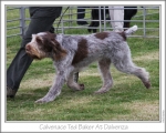 Filename=C-TedBaker-3.jpg
Filesize=149KiB
Dimensions=868x698
Date added=Sep 17, 2009 C-TedBaker-3.jpg