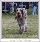 Filename=C-TedBaker-4.jpg
Filesize=118KiB
Dimensions=658x688
Date added=Sep 17, 2009 C-TedBaker-4.jpg