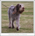Filename=C-TedBaker-6.jpg
Filesize=122KiB
Dimensions=658x688
Date added=Sep 17, 2009 C-TedBaker-6.jpg