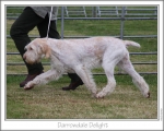 Filename=D-Delight-2.jpg
Filesize=141KiB
Dimensions=868x698
Date added=Sep 17, 2009 D-Delight-2.jpg