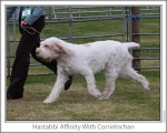 Filename=H-Affinity-3.jpg
Filesize=150KiB
Dimensions=868x698
Date added=Sep 17, 2009 H-Affinity-3.jpg