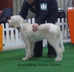 Filename=B-AtomicKitten.jpg
Filesize=53KiB
Dimensions=600x580
Date added=Sep 17, 2009 B-AtomicKitten.jpg