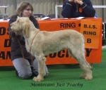 Filename=M-JustPeachy.jpg
Filesize=54KiB
Dimensions=600x512
Date added=Sep 17, 2009 M-JustPeachy.jpg