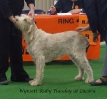 Filename=W-RubyTuesday.jpg
Filesize=50KiB
Dimensions=600x557
Date added=Sep 17, 2009 W-RubyTuesday.jpg