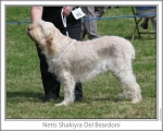 Dateiname=N-Shakiyra.jpg
Dateigröße=120KB
Abmessungen: 868x698
hinzugefügt am: 17. September 2009 N-Shakiyra.jpg