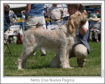 Dateiname=N-UnaNuovaPagina.jpg
Dateigröße=114KB
Abmessungen: 868x698
hinzugefügt am: 17. September 2009 N-UnaNuovaPagina.jpg