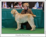 Nom du fichier=F-RoccaChe.jpg
Taille du fichier=103Ko
Dimensions : 868x698
Ajouté le : 17 Septembre 2009 F-RoccaChe.jpg