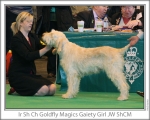 Filename=G-MagicGaietyGirl.jpg
Filesize=119KiB
Dimensions=868x698
Date added=Sep 17, 2009 G-MagicGaietyGirl.jpg