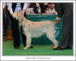 Nom du fichier=G-Trasimeno.jpg
Taille du fichier=115Ko
Dimensions : 868x698
Ajouté le : 17 Septembre 2009 G-Trasimeno.jpg