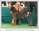 Filename=H-BetteDavisEyes.jpg
Filesize=145KiB
Dimensions=868x698
Date added=Sep 17, 2009 H-BetteDavisEyes.jpg