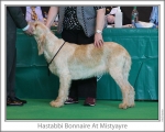 Filename=H-Bonnaire.jpg
Filesize=112KiB
Dimensions=868x698
Date added=Sep 17, 2009 H-Bonnaire.jpg