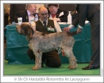 Filename=H-Ristoretto.jpg
Filesize=122KiB
Dimensions=868x698
Date added=Sep 17, 2009 H-Ristoretto.jpg