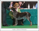 Filename=I-LElisirDAmore.jpg
Filesize=118KiB
Dimensions=868x698
Date added=Sep 17, 2009 I-LElisirDAmore.jpg