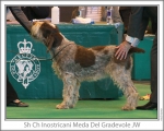 Filename=I-Meda.jpg
Filesize=138KiB
Dimensions=868x698
Date added=Sep 17, 2009 I-Meda.jpg