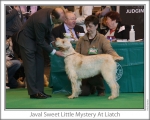 Filename=J-SweetLittleMystery.jpg
Filesize=108KiB
Dimensions=868x698
Date added=Sep 17, 2009 J-SweetLittleMystery.jpg