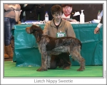 Nom du fichier=L-NippySweetie.jpg
Taille du fichier=124Ko
Dimensions : 868x698
Ajouté le : 17 Septembre 2009 L-NippySweetie.jpg