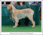 Filename=M-JustEva.jpg
Filesize=99KiB
Dimensions=868x698
Date added=Sep 17, 2009 M-JustEva.jpg