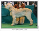 Filename=M-MoonRiver.jpg
Filesize=113KiB
Dimensions=868x698
Date added=Sep 17, 2009 M-MoonRiver.jpg