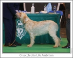 Filename=O-LifeAmbition.jpg
Filesize=108KiB
Dimensions=868x698
Date added=Sep 17, 2009 O-LifeAmbition.jpg