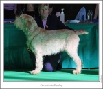 Filename=O-Parsley.jpg
Filesize=108KiB
Dimensions=870x750
Date added=Sep 17, 2009 O-Parsley.jpg