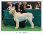 Filename=R-Capeci.jpg
Filesize=99KiB
Dimensions=868x698
Date added=Sep 17, 2009 R-Capeci.jpg