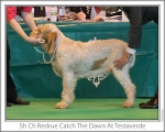 Filename=R-CatchTheDawn.jpg
Filesize=119KiB
Dimensions=868x698
Date added=Sep 17, 2009 R-CatchTheDawn.jpg