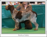 Filename=R-Fable.jpg
Filesize=99KiB
Dimensions=868x698
Date added=Sep 17, 2009 R-Fable.jpg