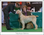 Dateiname=T-Balena.jpg
Dateigröße=108KB
Abmessungen: 868x698
hinzugefügt am: 17. September 2009 T-Balena.jpg