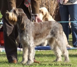 Filename=A-ShowMeTheMoney.jpg
Filesize=80KiB
Dimensions=600x524
Date added=Jan 31, 2010 A-ShowMeTheMoney.jpg