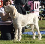 Filename=B-BillyElliot.jpg
Filesize=81KiB
Dimensions=600x583
Date added=Jan 31, 2010 B-BillyElliot.jpg