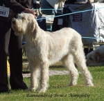 Filename=B-BruceAlmighty.jpg
Filesize=79KiB
Dimensions=600x588
Date added=Jan 31, 2010 B-BruceAlmighty.jpg