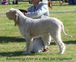 Filename=B-LoveInAMist.jpg
Filesize=79KiB
Dimensions=600x493
Date added=Jan 31, 2010 B-LoveInAMist.jpg